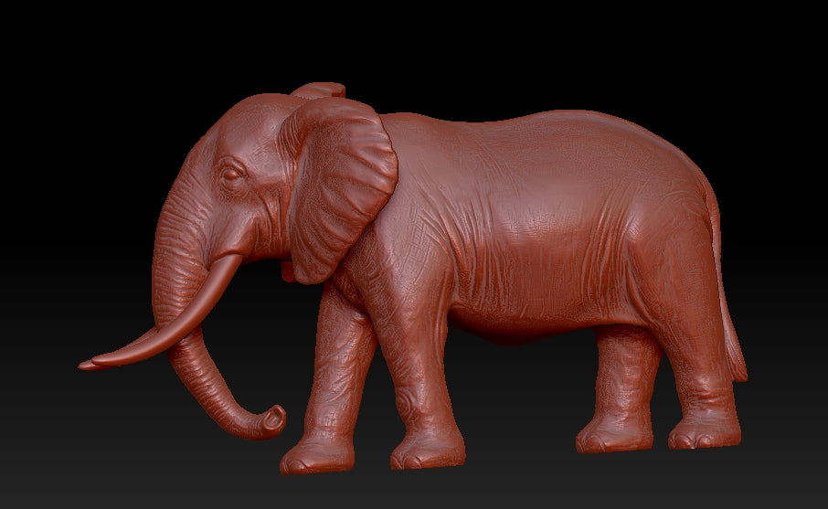 elephant 3Dmodel