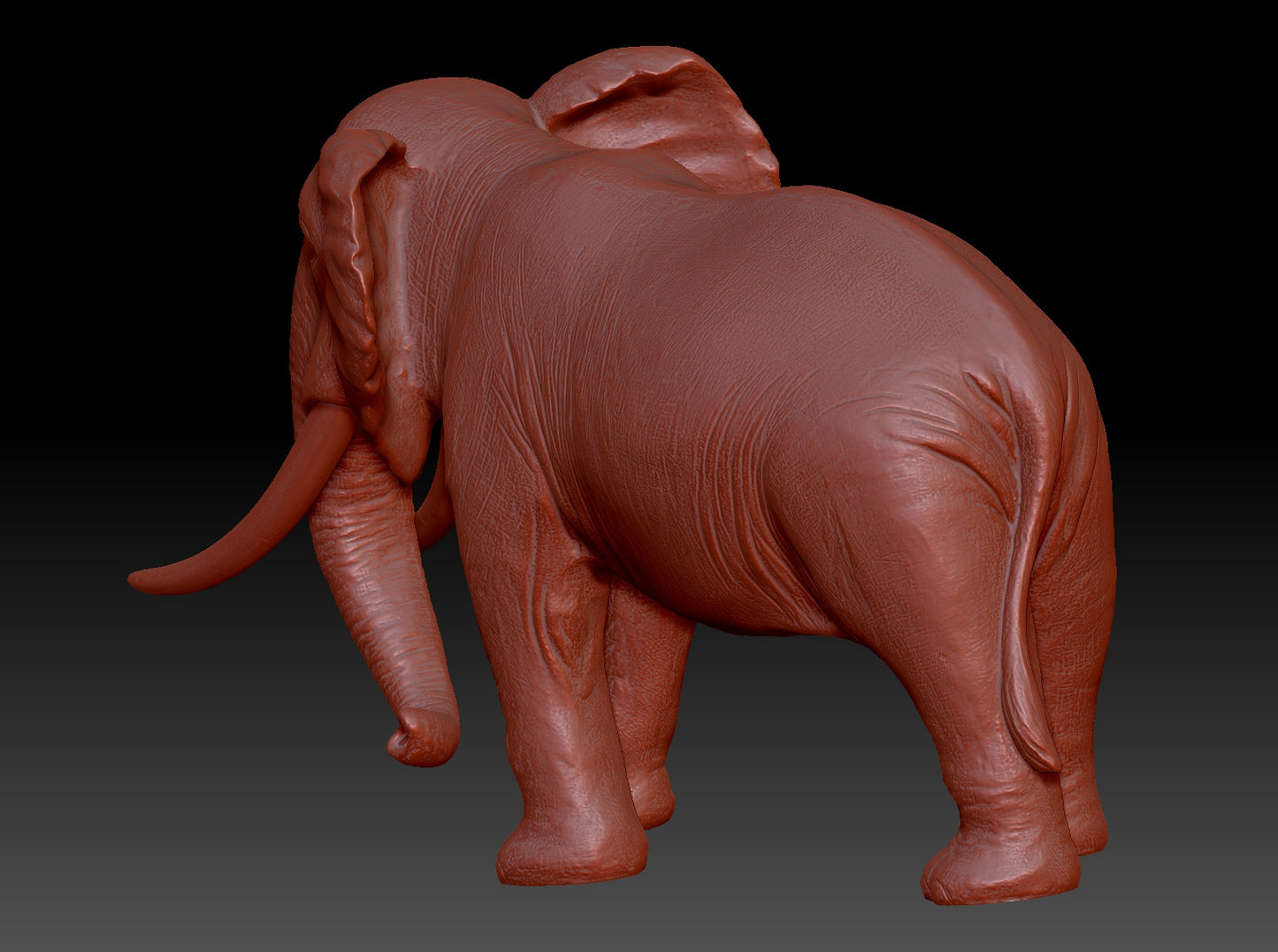 elephant 3Dmodel