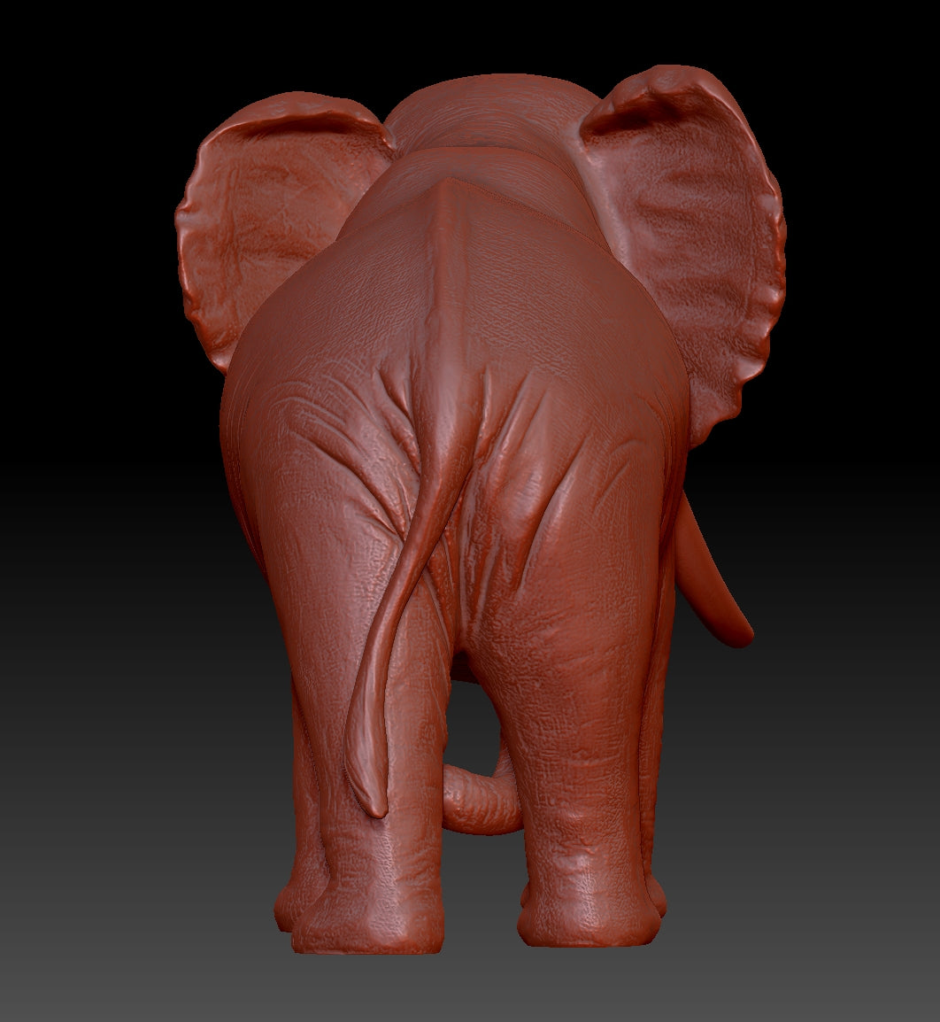 elephant 3Dmodel