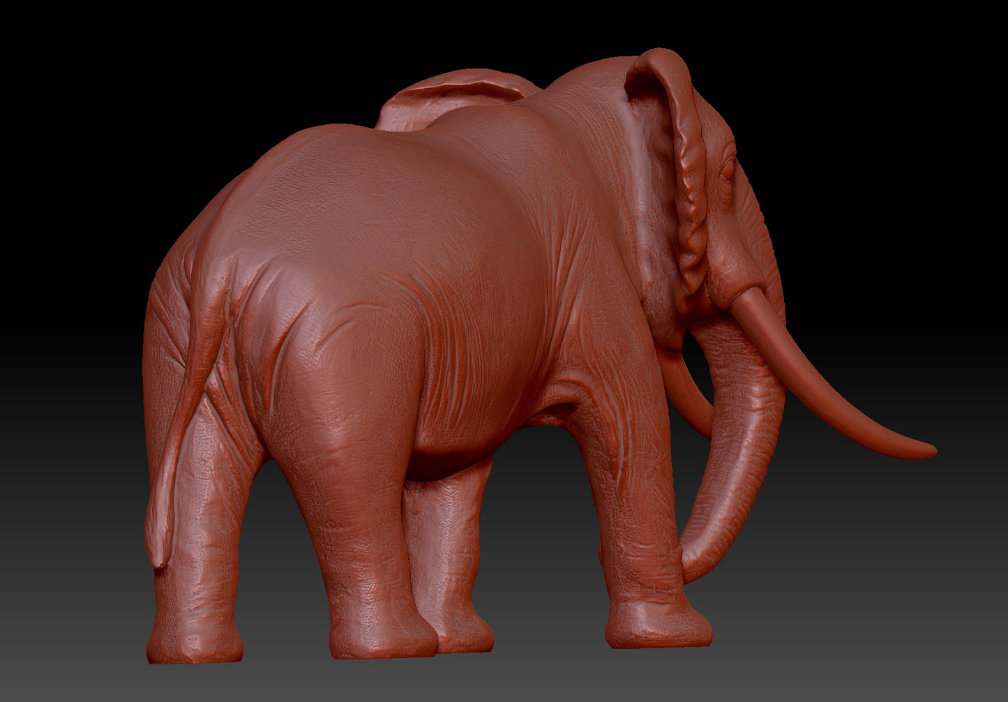 elephant 3Dmodel