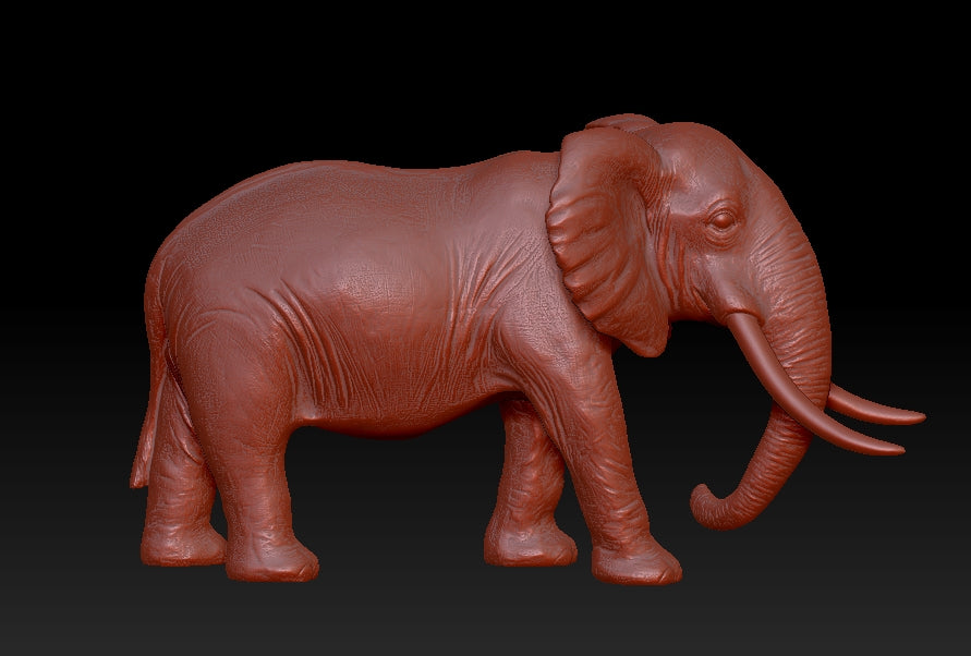 elephant 3Dmodel
