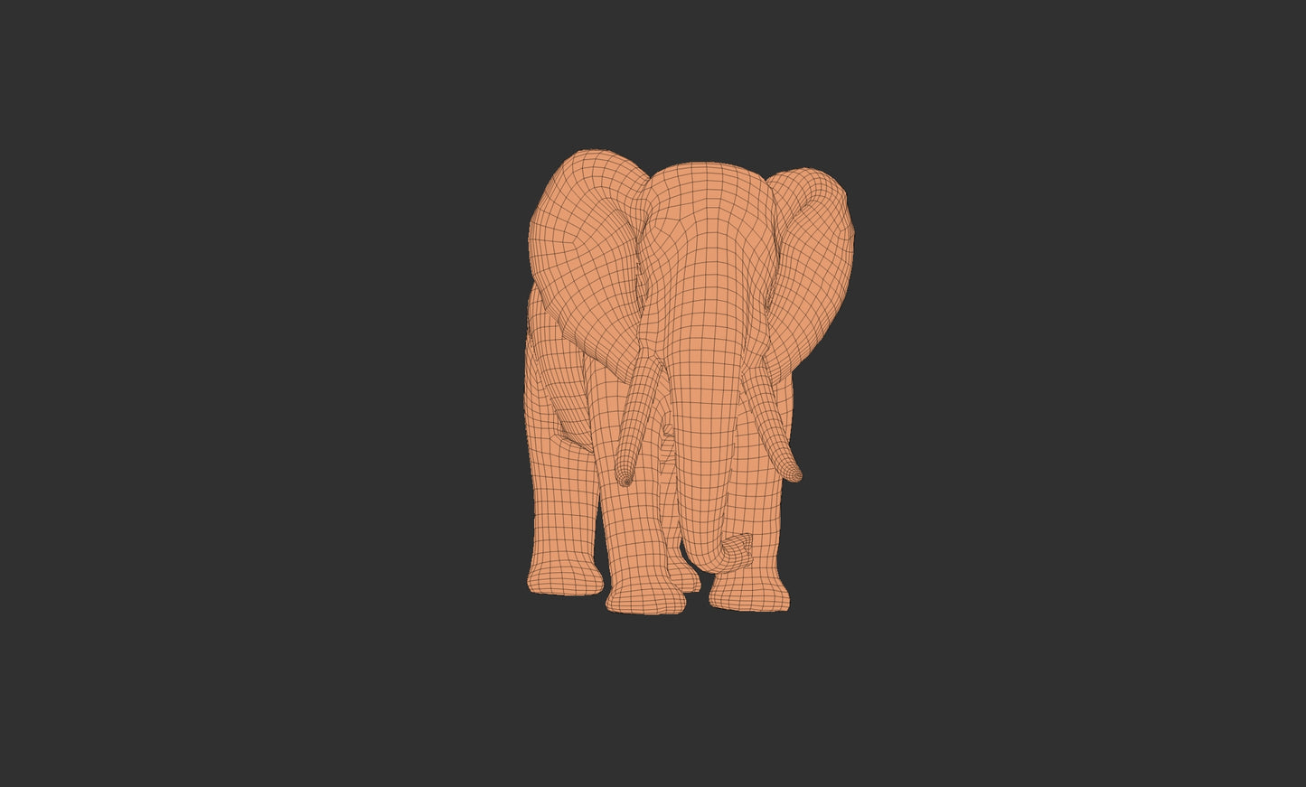 elephant 3Dmodel