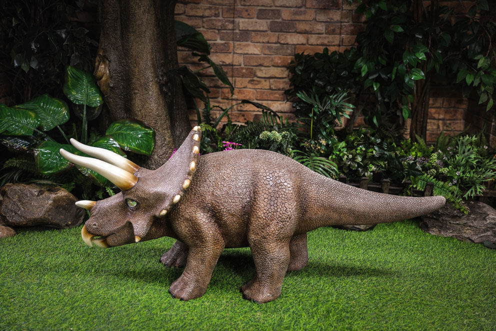 Dino Triceratops 3D model