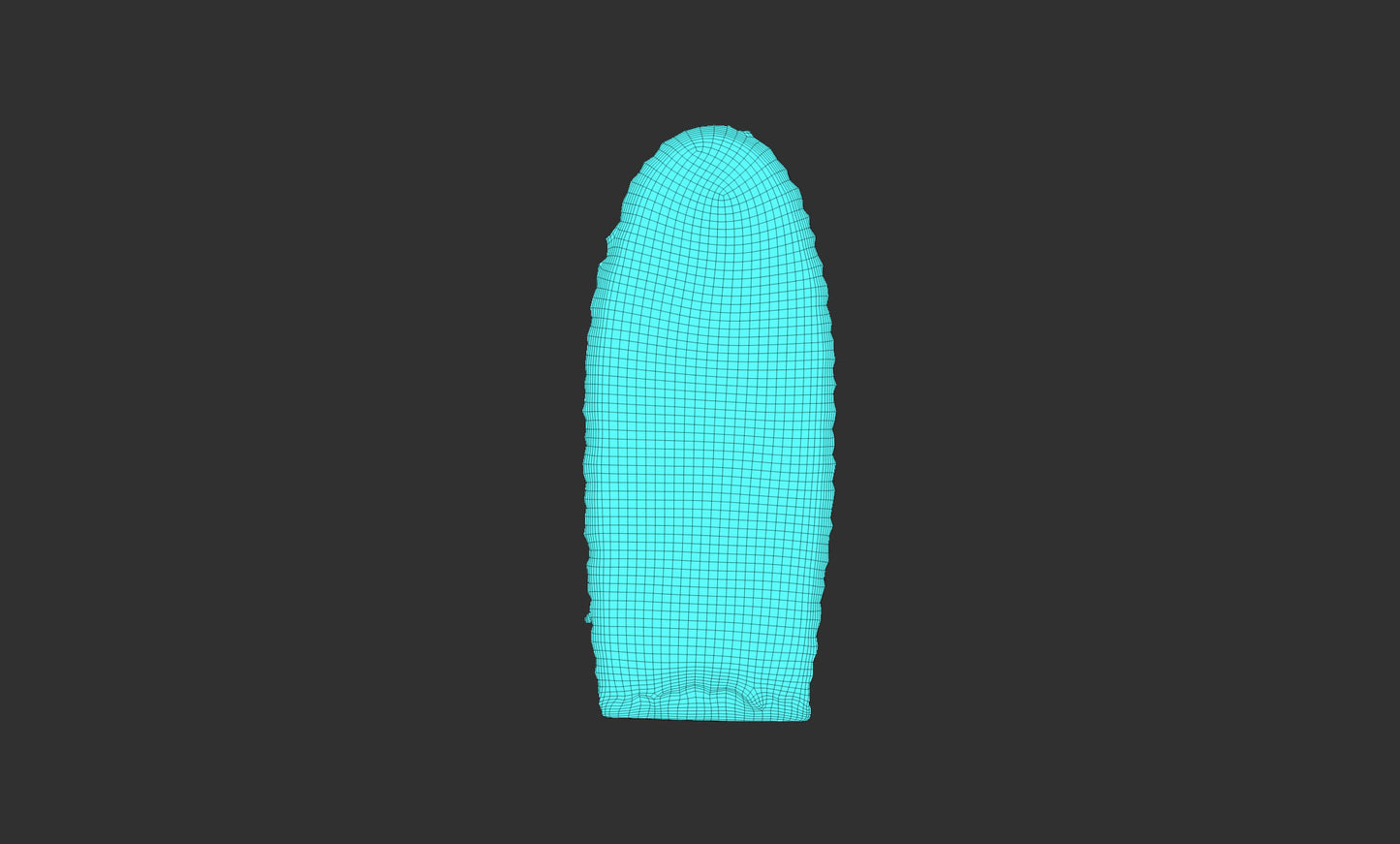 Our Lady of Guadalupe