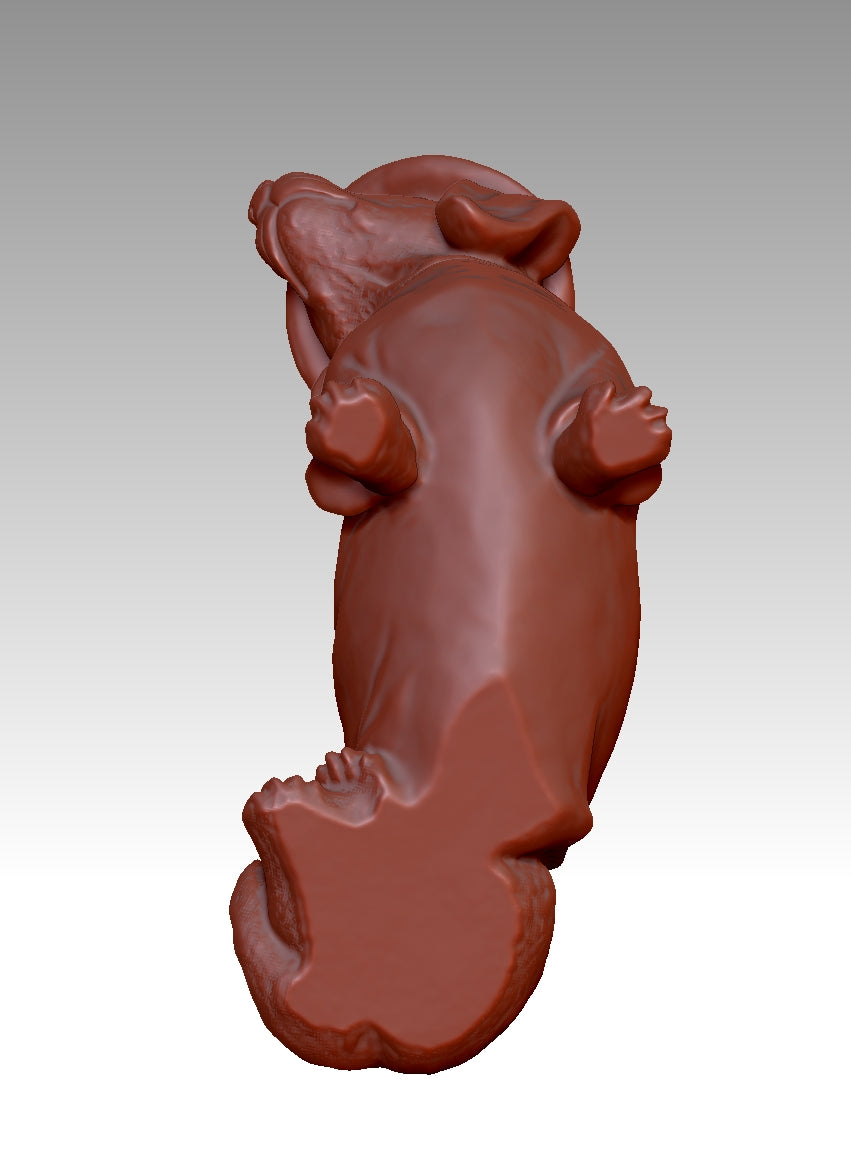 Cute Dachshund 3D Model