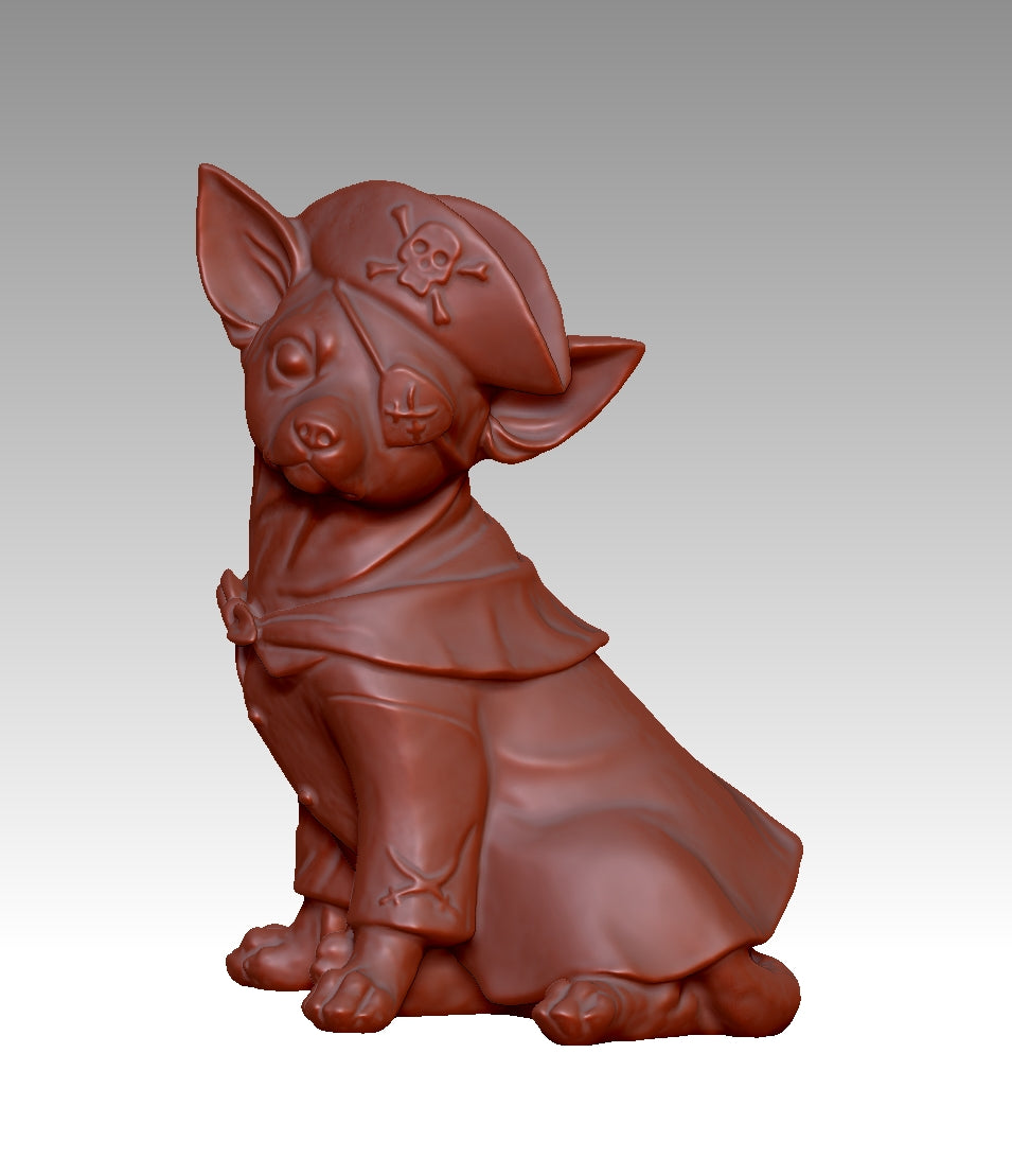 Super cool pirate-style Chihuahua