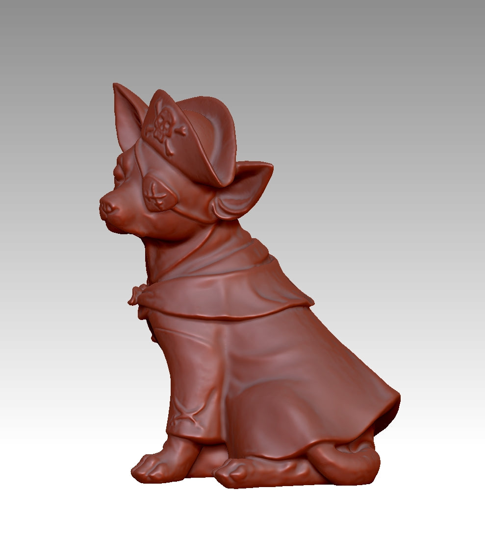 Super cool pirate-style Chihuahua