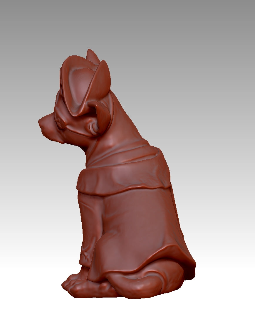 Super cool pirate-style Chihuahua