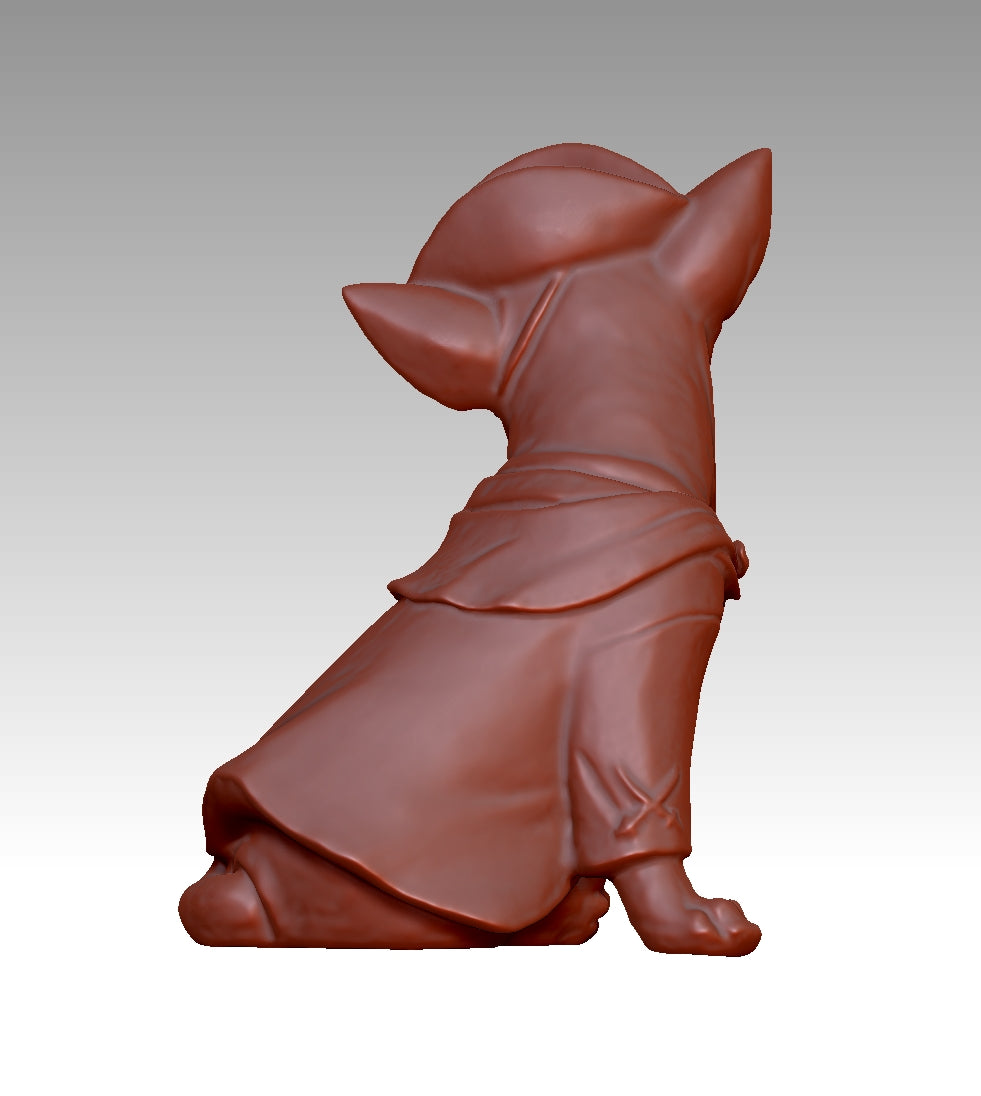 Super cool pirate-style Chihuahua