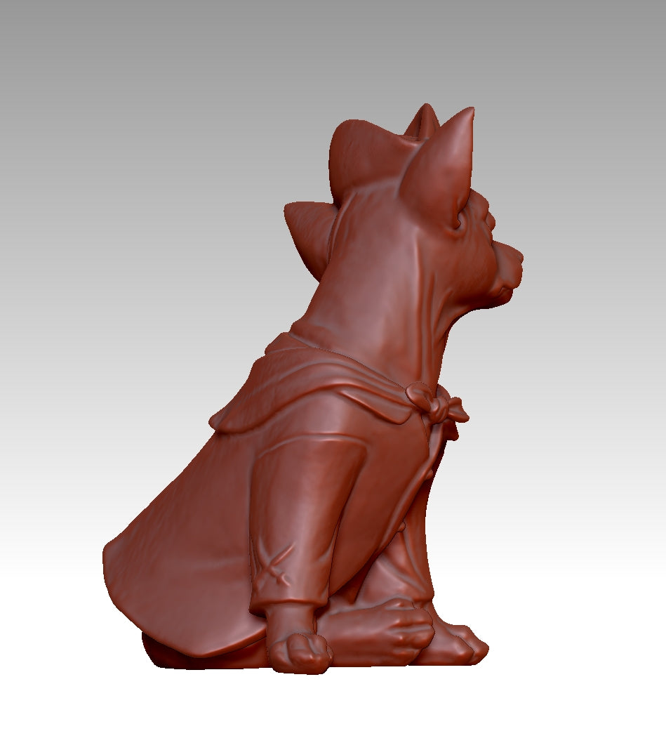 Super cool pirate-style Chihuahua