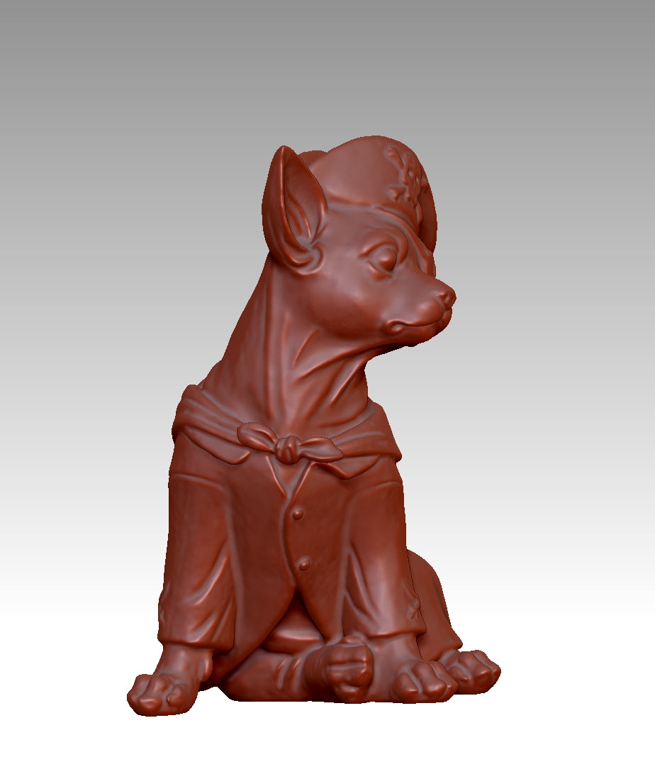 Super cool pirate-style Chihuahua