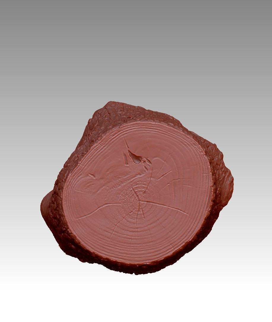 3D stump