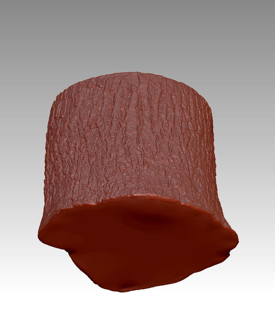 3D stump