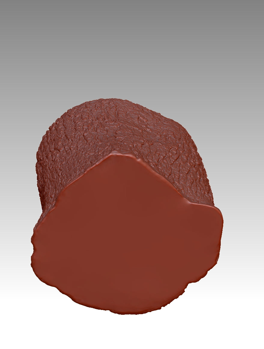 3D stump